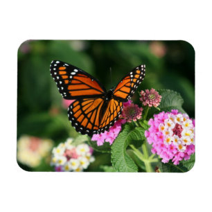 Magnet Flexible Papillon de monarque sur le Lantana Flowers.Magnet