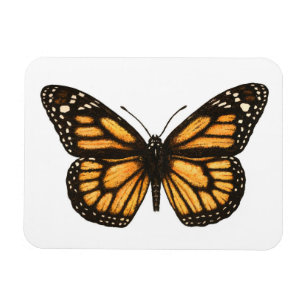 Magnet Flexible Papillon monarque