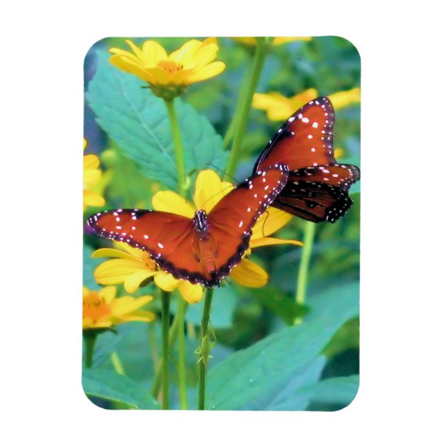 Magnet Flexible Papillon Monarque - Aimant (Vertical)