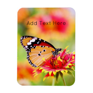 Magnet Flexible Papillon monarque sur Fleur rouge et jaune