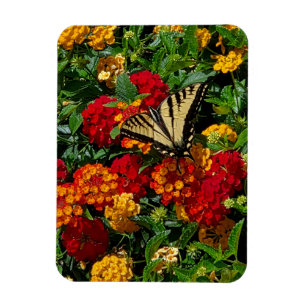 Magnet Flexible papillon swallowtail jaune fleurs orange & rouges