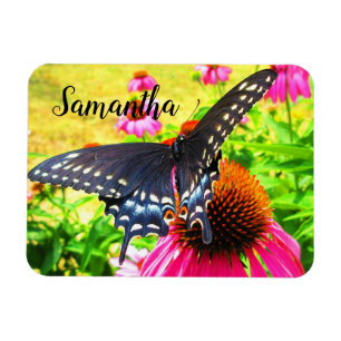 Magnet Flexible Papillon swallowtail noir sur fleurs d'échinacée r