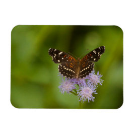 Magnet Flexible Papillon texan croissant