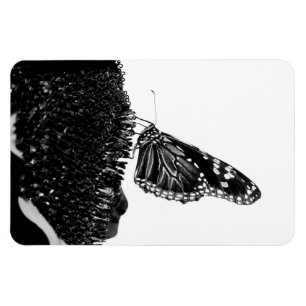 Magnet Flexible papillon timide blacq