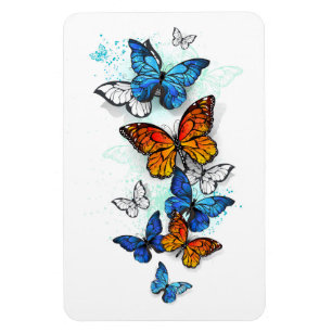 Magnet Flexible Papillons volants Morpho et Monarch