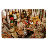 Paradis des collectionneurs nounours