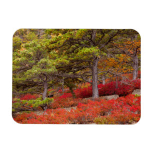 Magnet Flexible Parc national d'Acadia, Maine