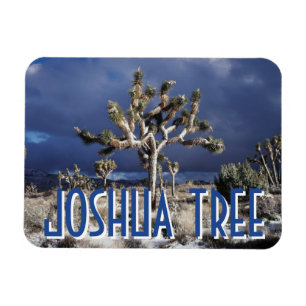 Magnet Flexible Parc national de la Californie, Joshua Tree