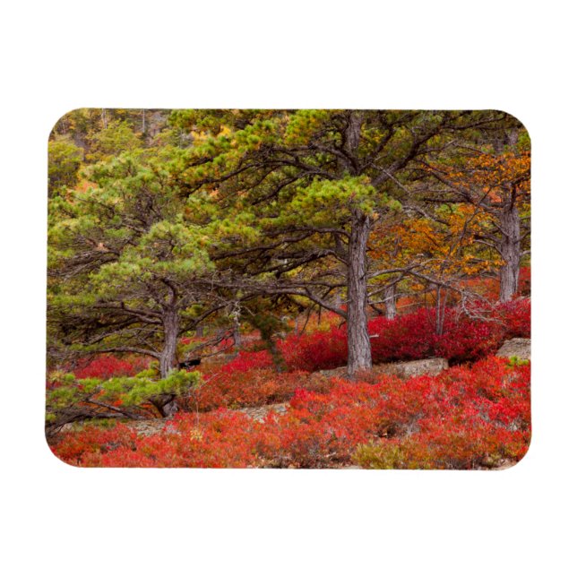 Magnet Flexible Parc national de l'Acadie, Maine (Horizontal)