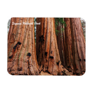 Magnet Flexible Parc national de Sequoia