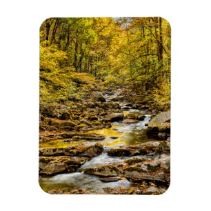 Magnet Flexible Parc national des Great Smoky Mountains. Big Creek