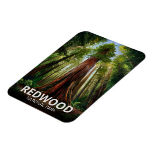 Magnet Flexible Parc national d'État de Redwood, Californie côtièr