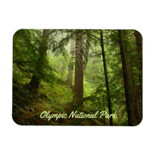 Magnet Flexible Parc national olympique Rainforest Photo