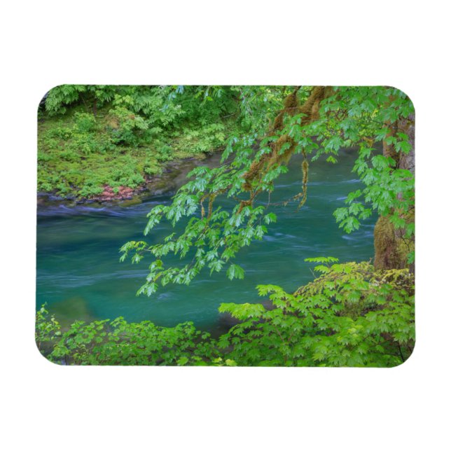 Magnet Flexible Parc national olympique Washington State (Horizontal)