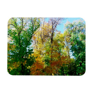 Magnet Flexible Park in the provincial ukrainian city postcard ma