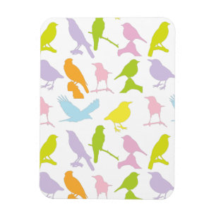 Magnet Flexible Pastel Coloured Variété d'oiseaux Motif