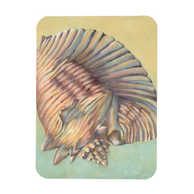 Magnet Flexible Pastel Large Conch Shell (Vertical)