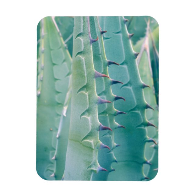 Magnet Flexible Patterns de Agave (Vertical)