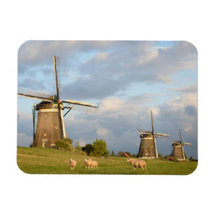 Magnet Flexible Paysage avec des moulins à vent et des moutons