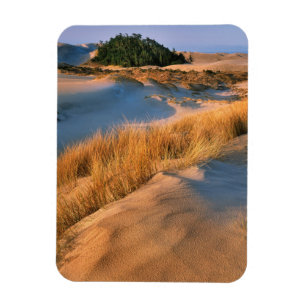 Magnet Flexible Paysage des dunes de sable de l'Oregon