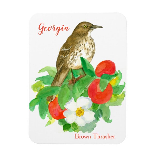 Magnet Flexible Peaches Cherokee Rose Bird Aquarelle (Vertical)