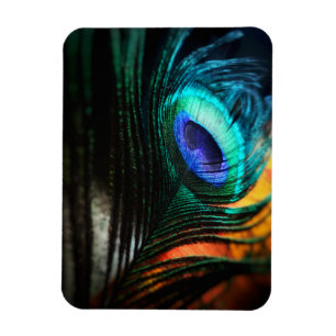 Magnet Flexible Peakcock Feed Close et Personal