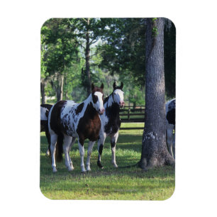 Magnet Flexible Peignez les chevaux dans les arbres