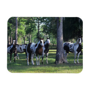Magnet Flexible Peignez les chevaux dans les arbres