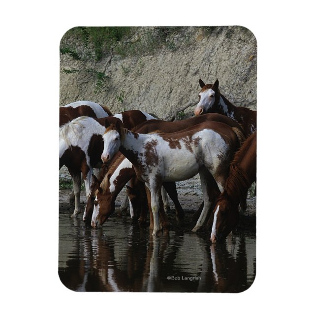 Magnet Flexible Peinture Chevaux Boire (Vertical)
