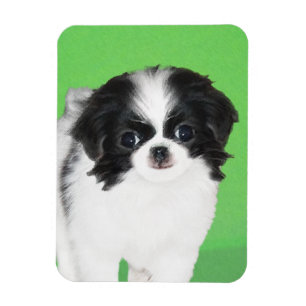 Magnet Flexible Peinture japonaise sur chiot - Art original du chi