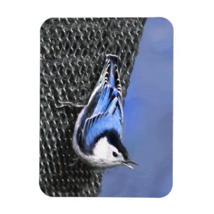 Magnet Flexible Peinture Nuthatch à poitrine blanche Art original