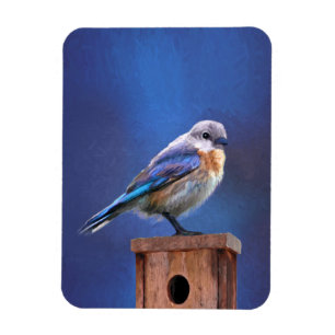 Magnet Flexible Peinture pour oiseaux bleus (femelle) - Art origin