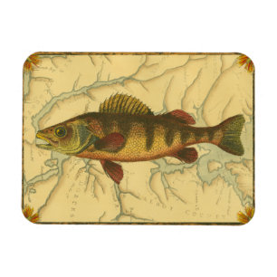 Magnet Flexible Perche jaune sur la carte