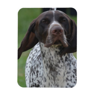 Magnet Flexible Personnaliser