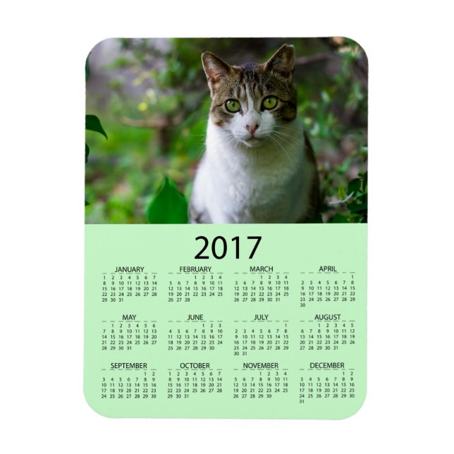 Magnet Flexible Personnalisez ce mini calendrier photo verte 2017 (Vertical)
