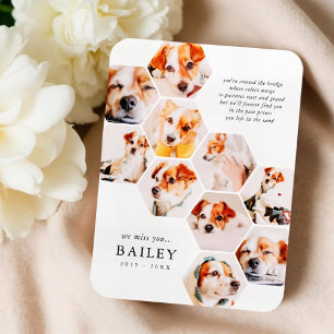 Magnet Flexible Pet Memorial Modern Simple 10 Photo Collage Card