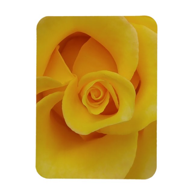 Magnet Flexible Pétales romantiques de rose jaune (Vertical)