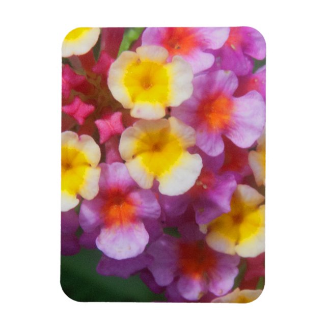 Magnet Flexible Petites fleurs tropicales roses et violettes jaune (Vertical)