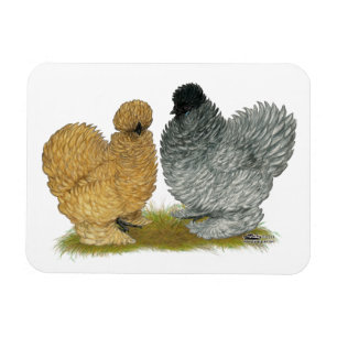 Magnet Flexible Petits poulets