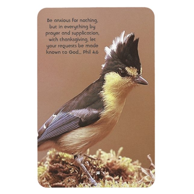 Magnet Flexible "Phil 4:6" Anxiété Concours foi prière (Vertical)