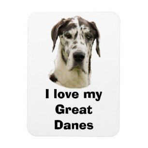 Magnet Flexible Photo d'animal familier de Halequin great dane
