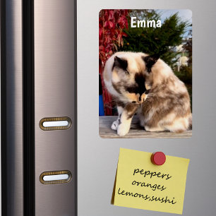 Magnet Flexible Photo de famille personnalisée, Chat Réfrigérateur
