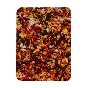 Magnet Flexible Photo de feuilles de feuillage de couleur d'automn