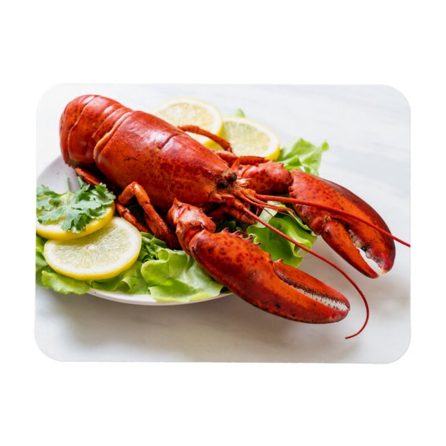 Magnet Flexible Photo de homard (Horizontal)