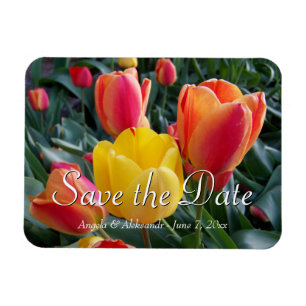 Magnet Flexible Photo de jardin de tulipes jaunes et rouges Enregi