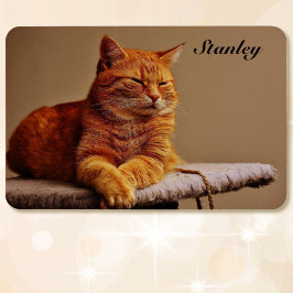 Magnet Flexible Photo de votre Modèle pour animaux de compagnie Aj