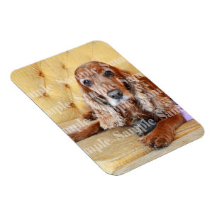 Magnet Flexible Photo du mémorial des animaux PERSONNALISER