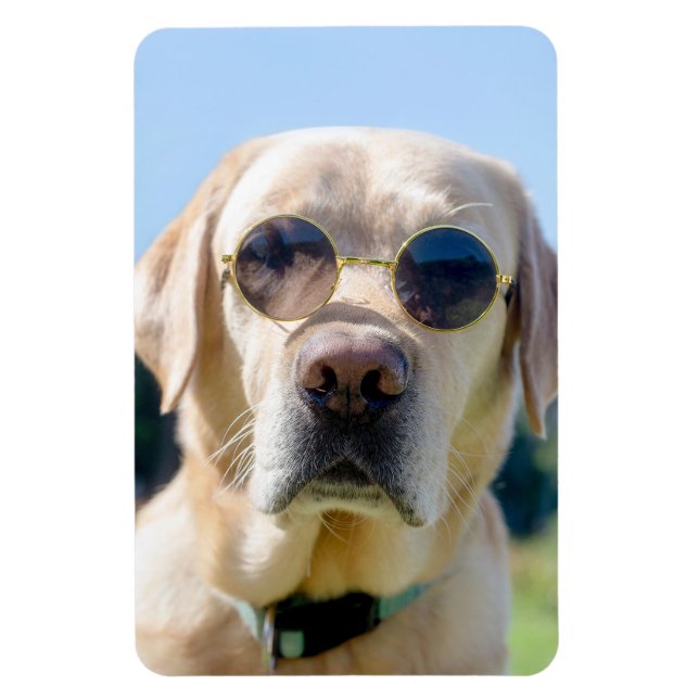 Magnet Flexible Photo personnalisée (Vertical)