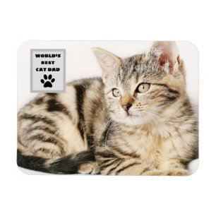 Magnet Flexible Photo personnalisée du meilleur chat papa personna