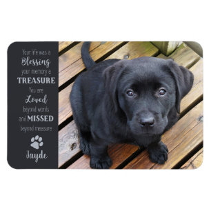 Magnet Flexible Photo pour animaux de compagnie - Photo pour chien